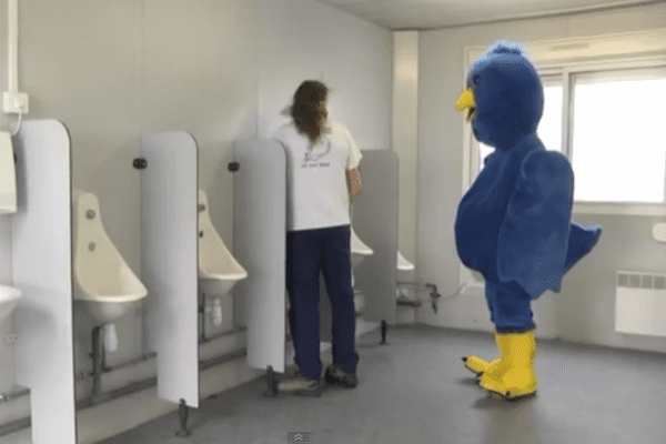Humor: ¿Quieres seguidores en Twitter? Este pájaro gigante te seguirá a todas partes