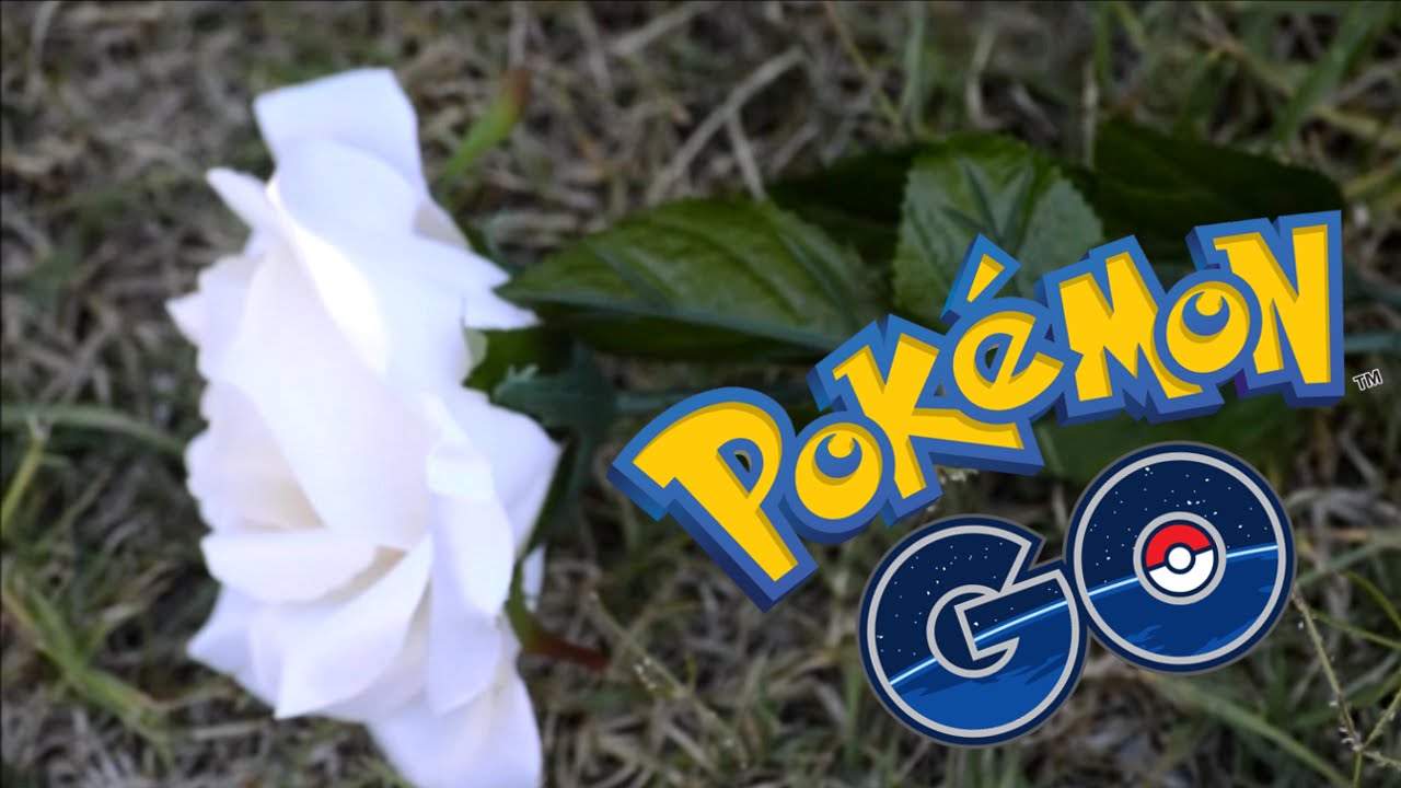 La Rosa de Guadalupe haría un capítulo sobre Pokémon Go