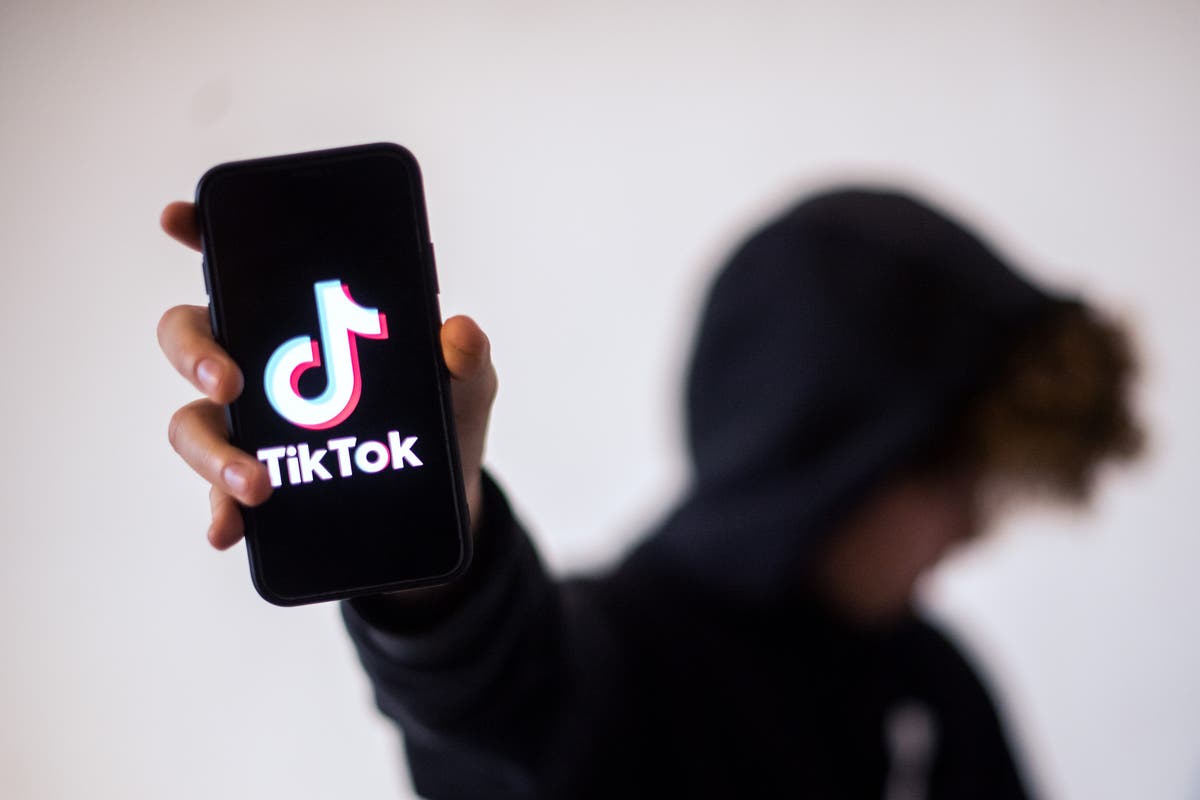 TikTok actualiza su política de privacidad y ya pide datos biométricos